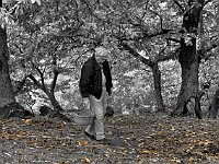 pane d'albero (04)